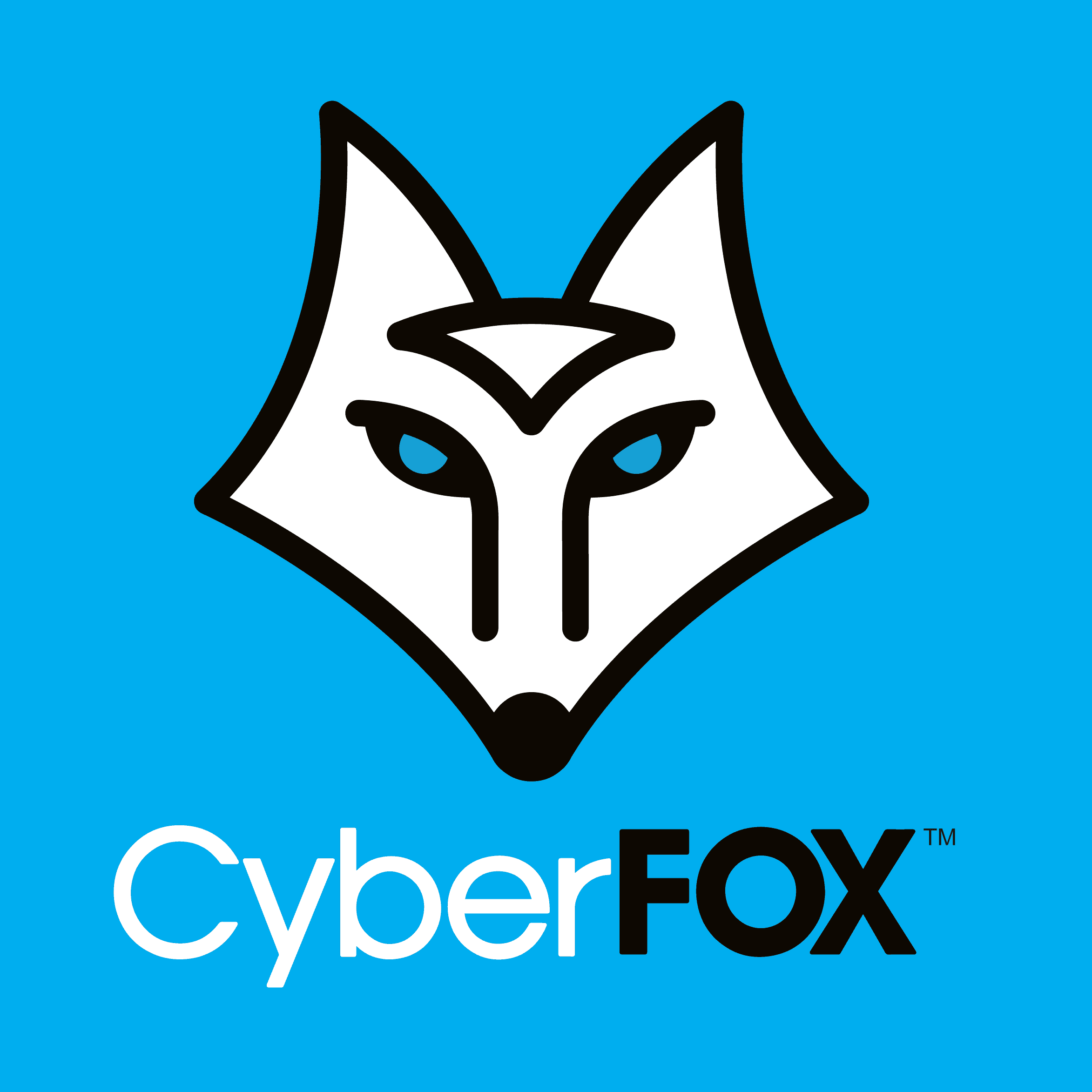 cyberfox square blue background